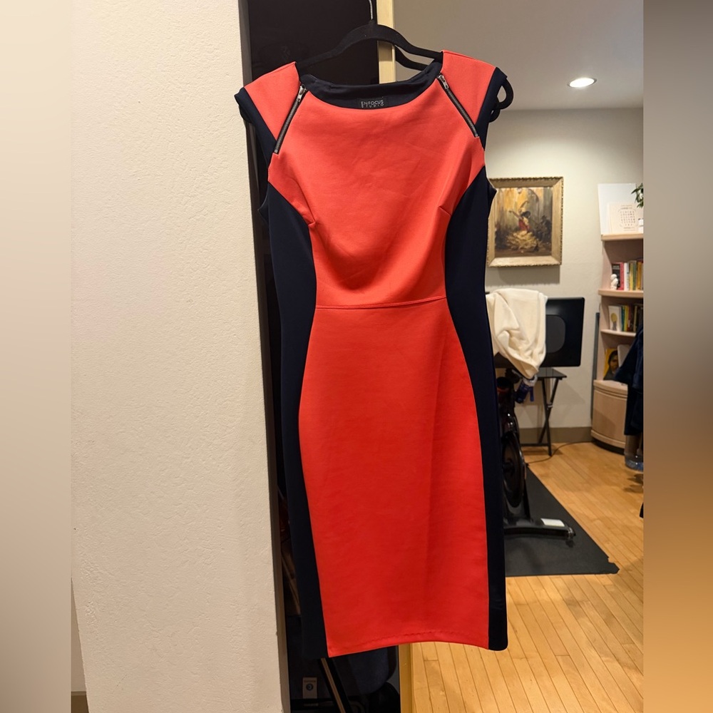 Enfocus Studio Color Block Dress